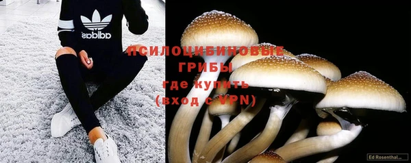 соль ск Лихославль